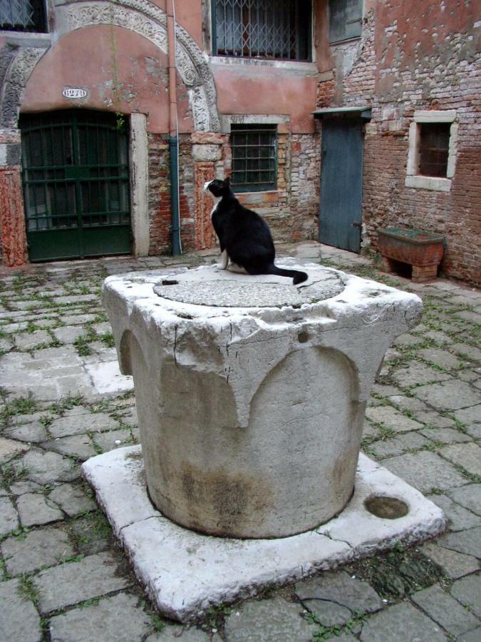 Apartment Essence Of Veneza Exterior foto